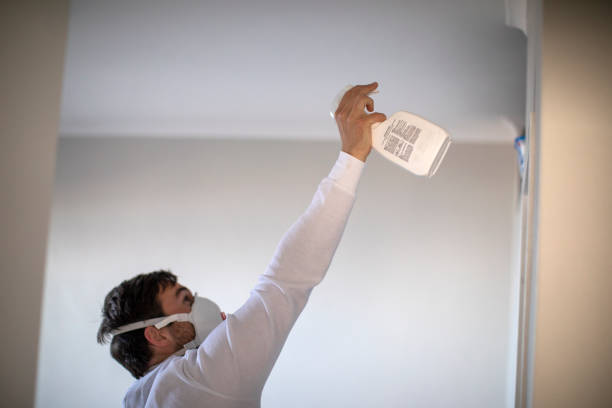 Best Local Mold Removal Service  in Lake Shore, WA