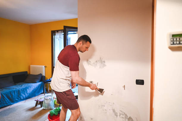 Best Mold Removal Near Me  in Lake Shore, WA